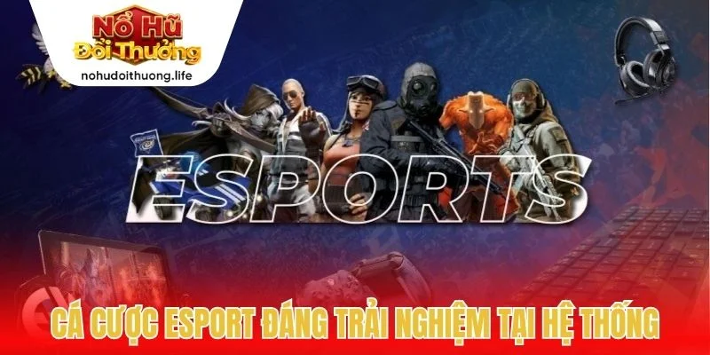 Cá cược Esport đáng trải nghiệm tại hệ thống