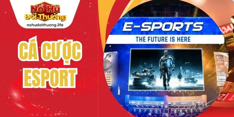 Cá Cược Esport