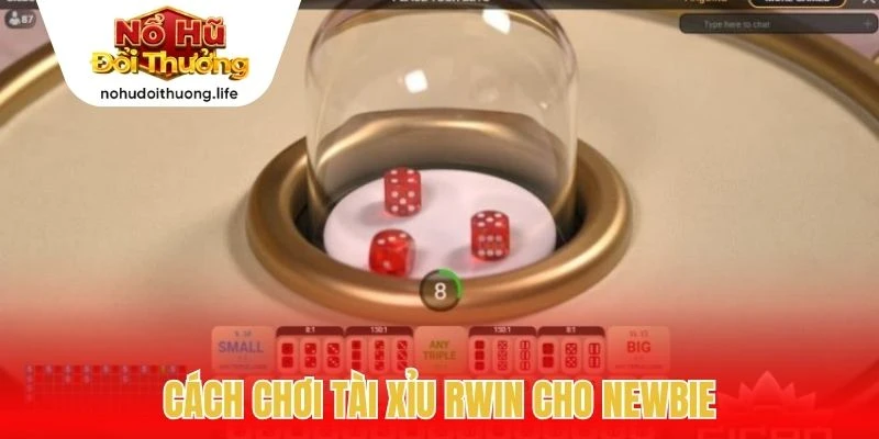 Cách chơi tài xỉu Rwin cho newbie