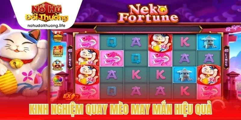 Kinh nghiệm quay mèo may mắn hiệu quả