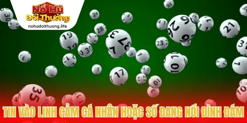 Tin vào linh cảm cá nhân hoặc số đang nổi đình đám
