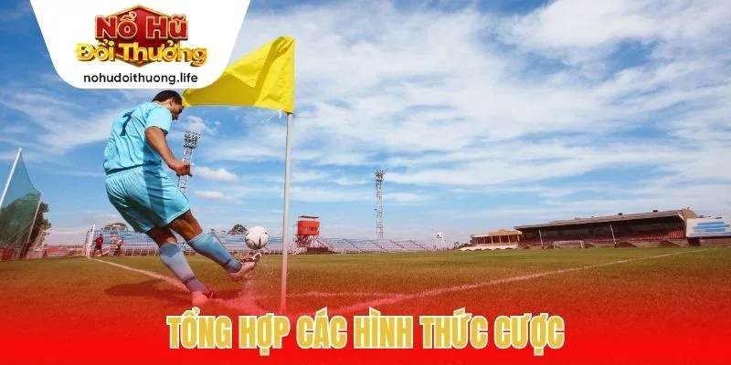 Tổng hợp các hình thức cược