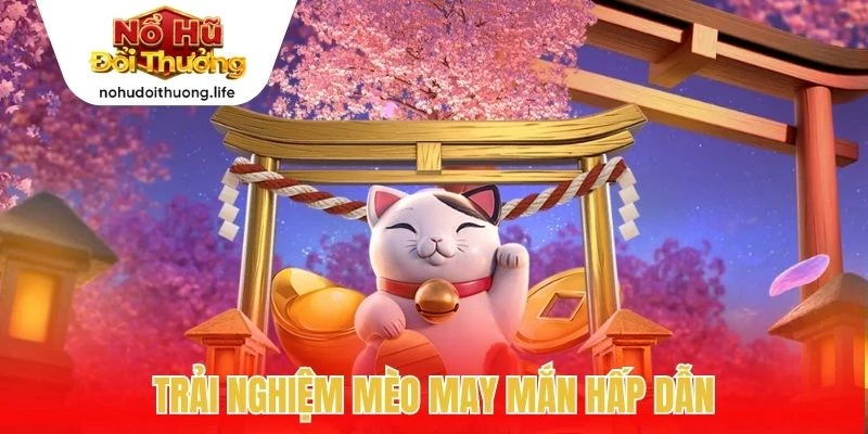 Trải nghiệm mèo may mắn hấp dẫn